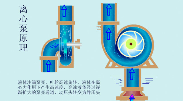 離心泵啟動時，出口閥門必須關閉嗎？